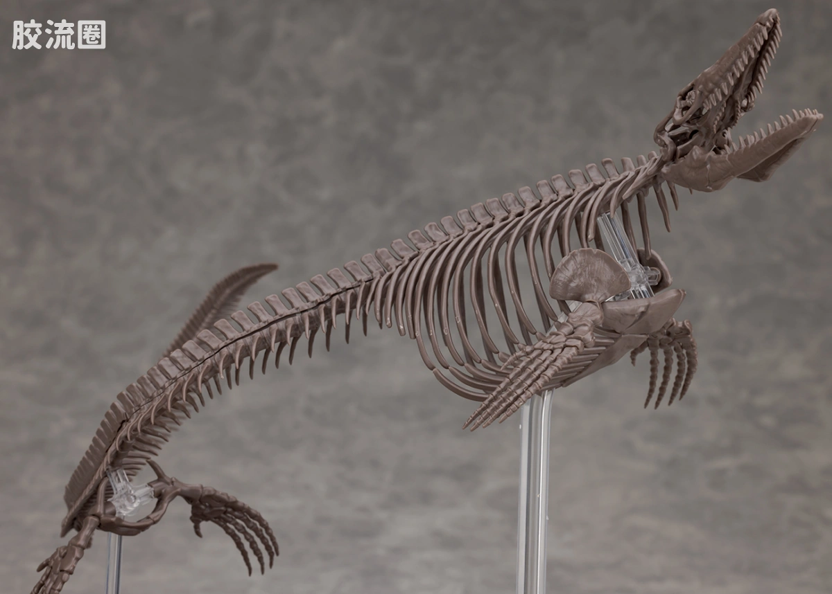 万代综合拼装模型系列 Imaginary Skeleton系列 沧龙 - 图片